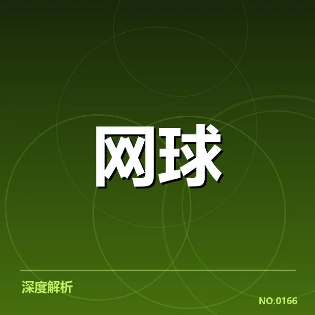 法网男子决赛:选手表现与冠军归属疑问
