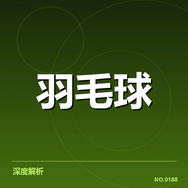 羽毛球青少年大赛：运动员成长如何保障